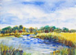 Marsh Paintings
